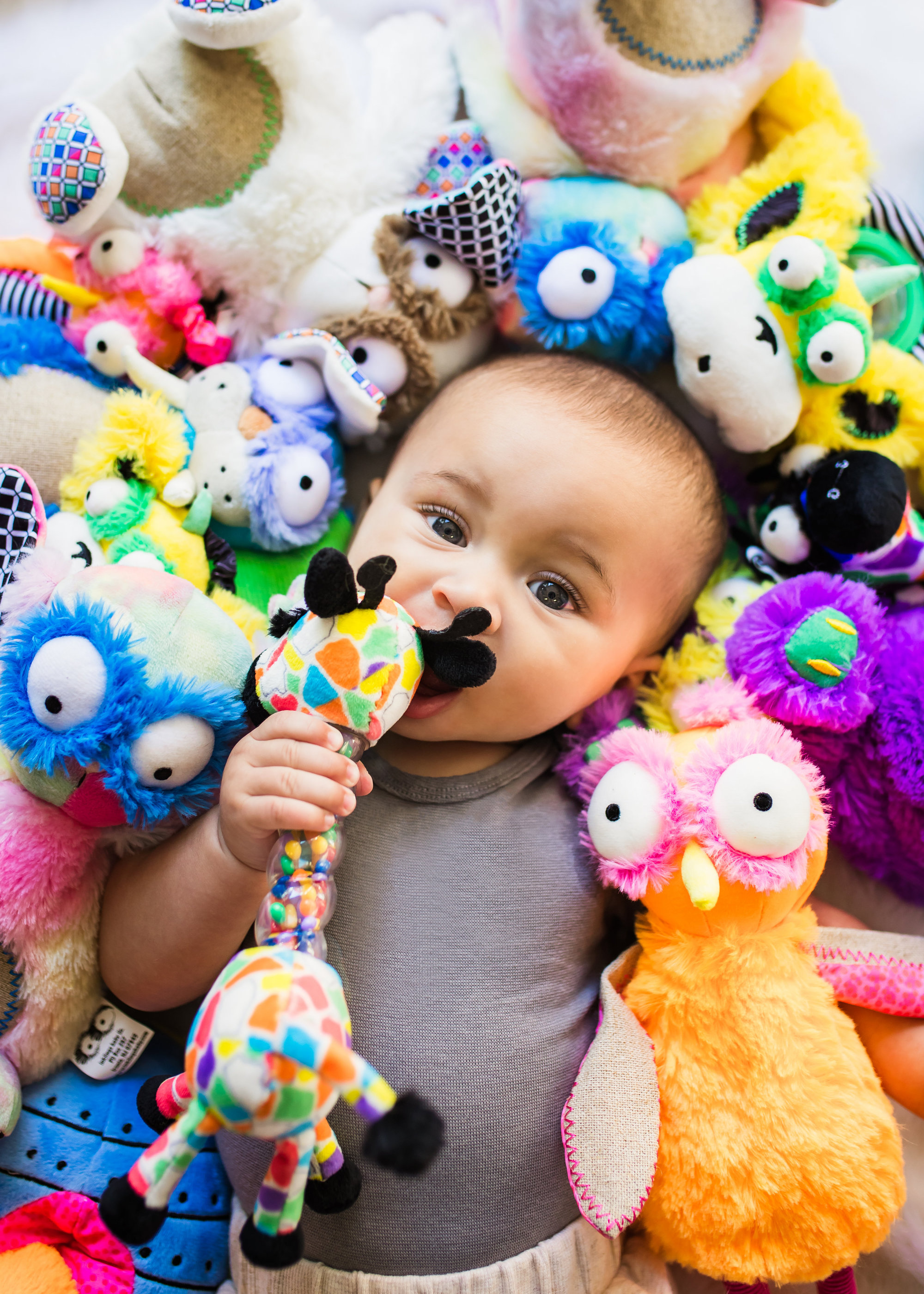 colorful plush toys and books for kids and babies